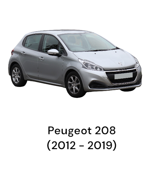 Support / Bracket Fixing Stoppers Peugeot 208 I (2012> 2019) Kabeljau