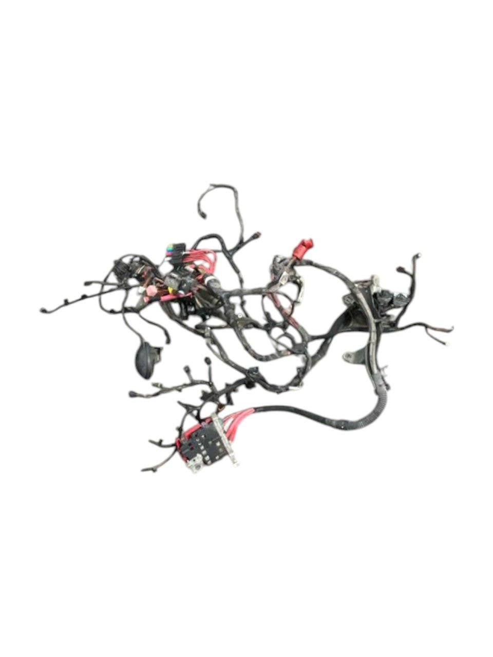 Cablaggio motore Renault Master III 2.3 diesel (2010 - 2019) cod. M9TB6 - F&amp;P CRASH SRLS - Ricambi Usati