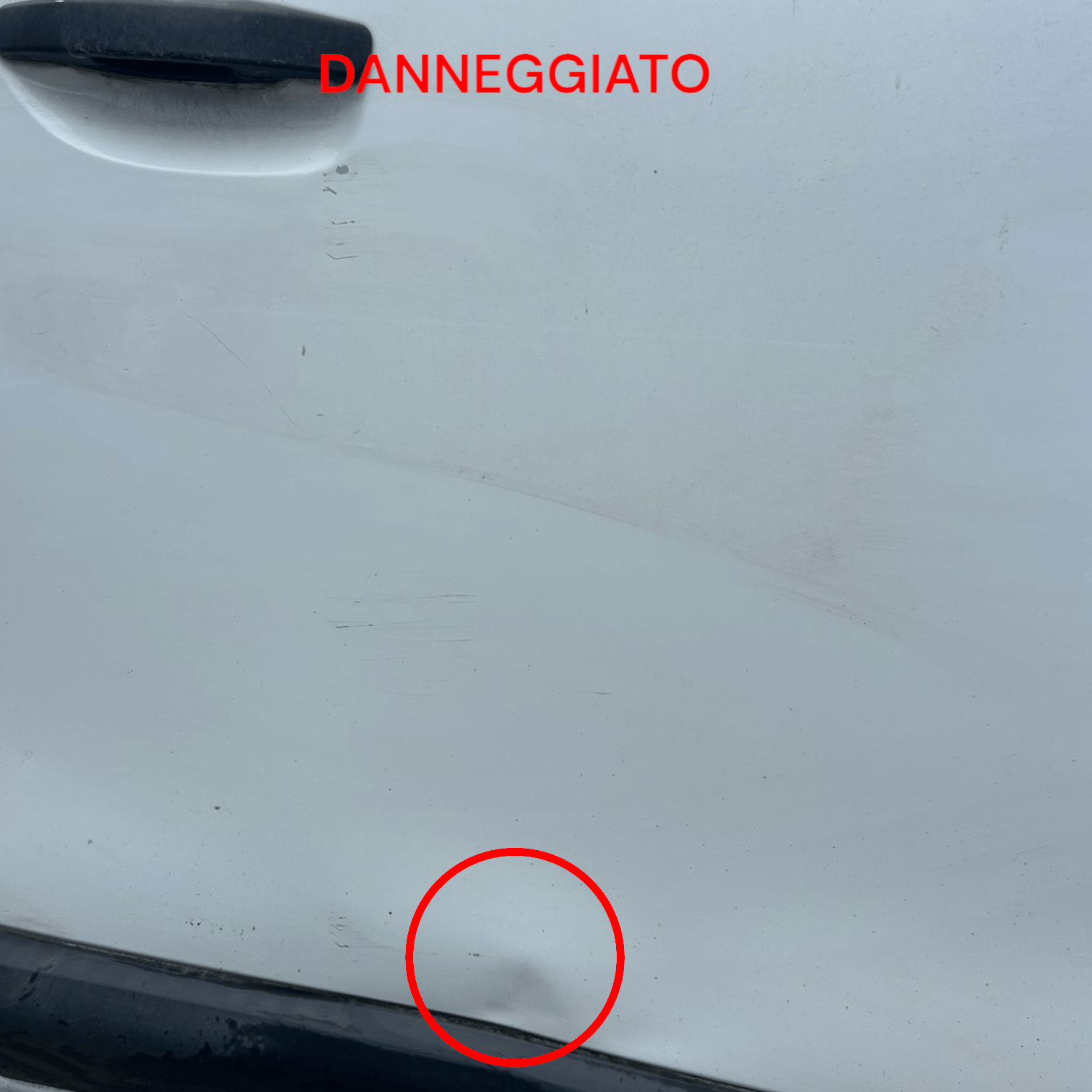 Portiera Anteriore Destra Bianca Dacia Dokker (2013 > 2021) Porta / Portiera - F&P CRASH SRLS - Ricambi Usati