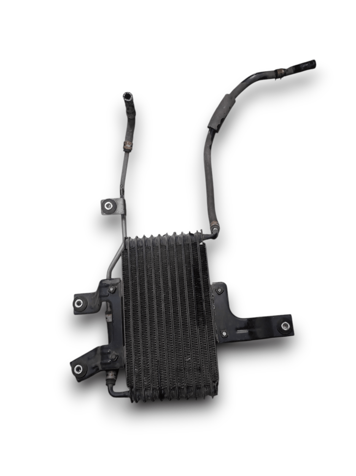 Radiatore Olio Mitsubishi Pajero 3.2 Diesel COD: 1241003560 (2006 - 2021) - F&amp;P CRASH SRLS - Ricambi Usati