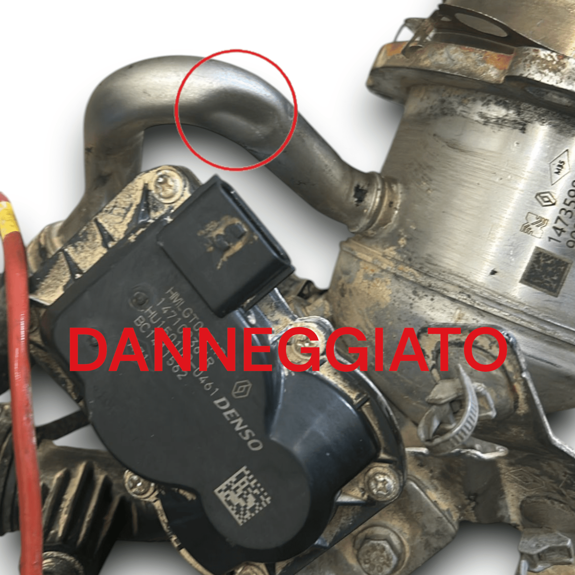 Radiatore / Valvola EGR Gas Di Scarico Renault Clio V 1.5 Diesel cod:147359823R (2019 >) - F&P CRASH SRLS - Ricambi Usati