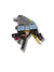 Scatola Fusibili Centralina Portafusibili Hyundai Tucson 2.0 crdi (2006) COD:91110 - 2E001 - F&P CRASH SRLS - Ricambi Usati