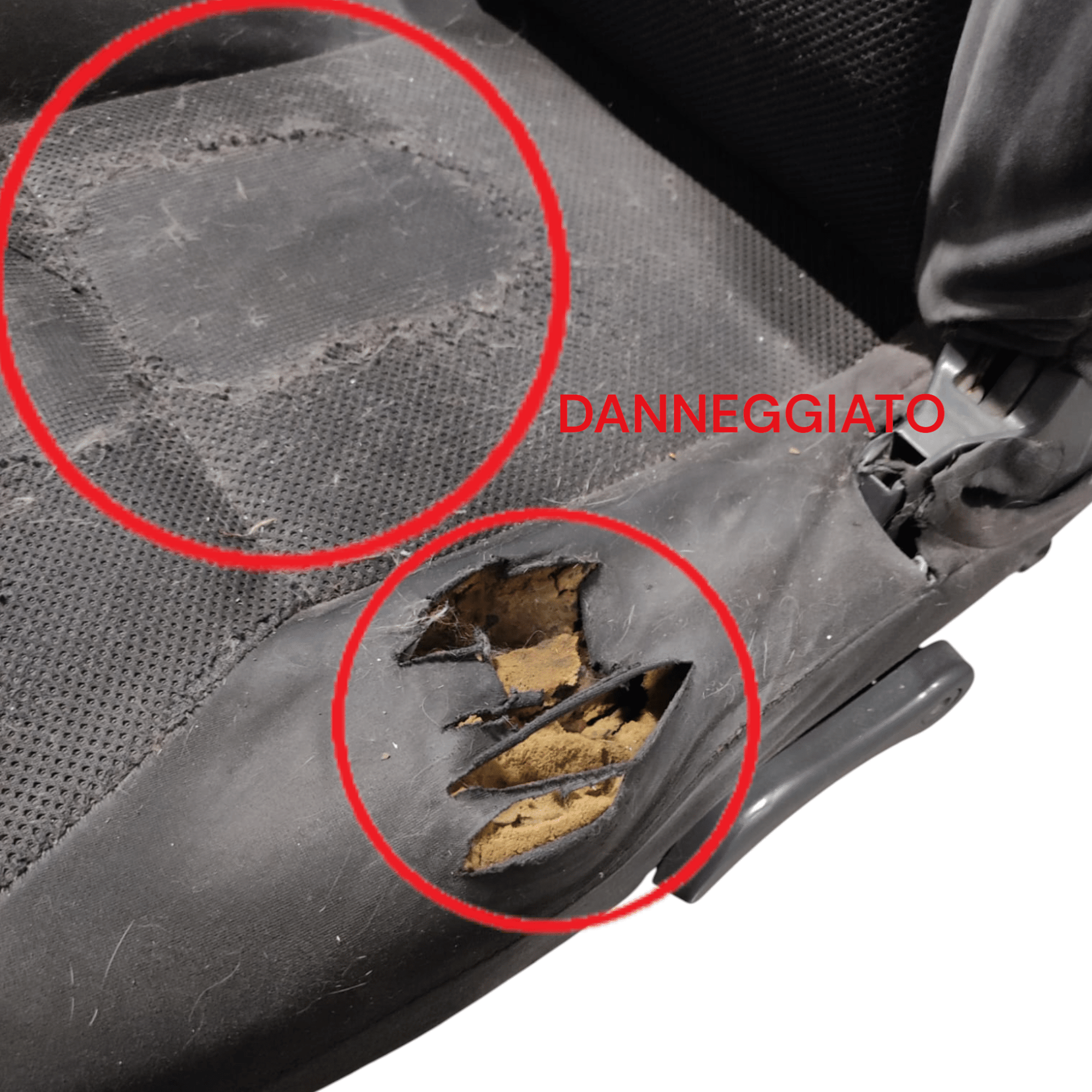 Tappezzeria Isuzu D - Max I Single Cab (2002 - 2011) - F&P CRASH SRLS - Ricambi Usati